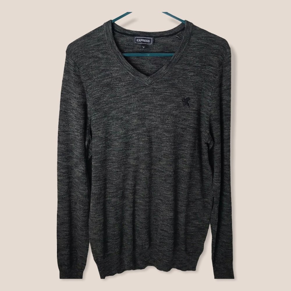 Express Sweater, Men’s Small